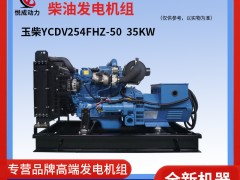 35KW玉柴柴油發電機組 視頻YCDV254FHZ-50