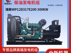 300KW濰柴WP12D317E200發電機組實物介紹視頻